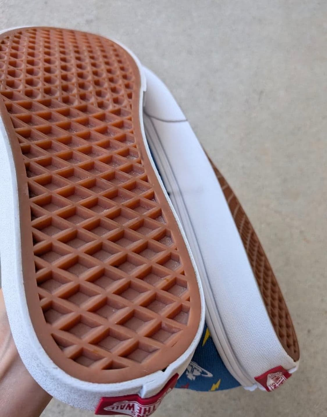 비비안웨스트우드 반스 어센틱 250 상품이미지9