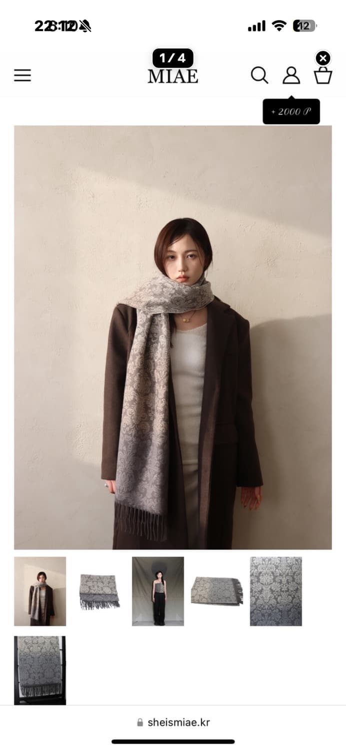 미애 오리엔탈 페이즐리 머플러 그레이 상품이미지1