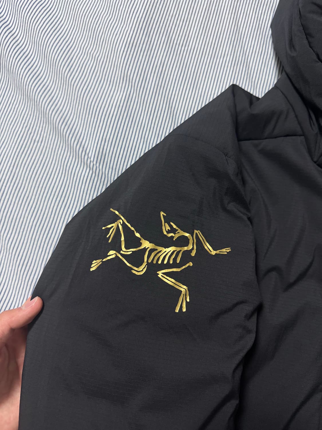 아크테릭스 x 빔즈 아톰 AR 후디 블랙 골드 상품이미지5