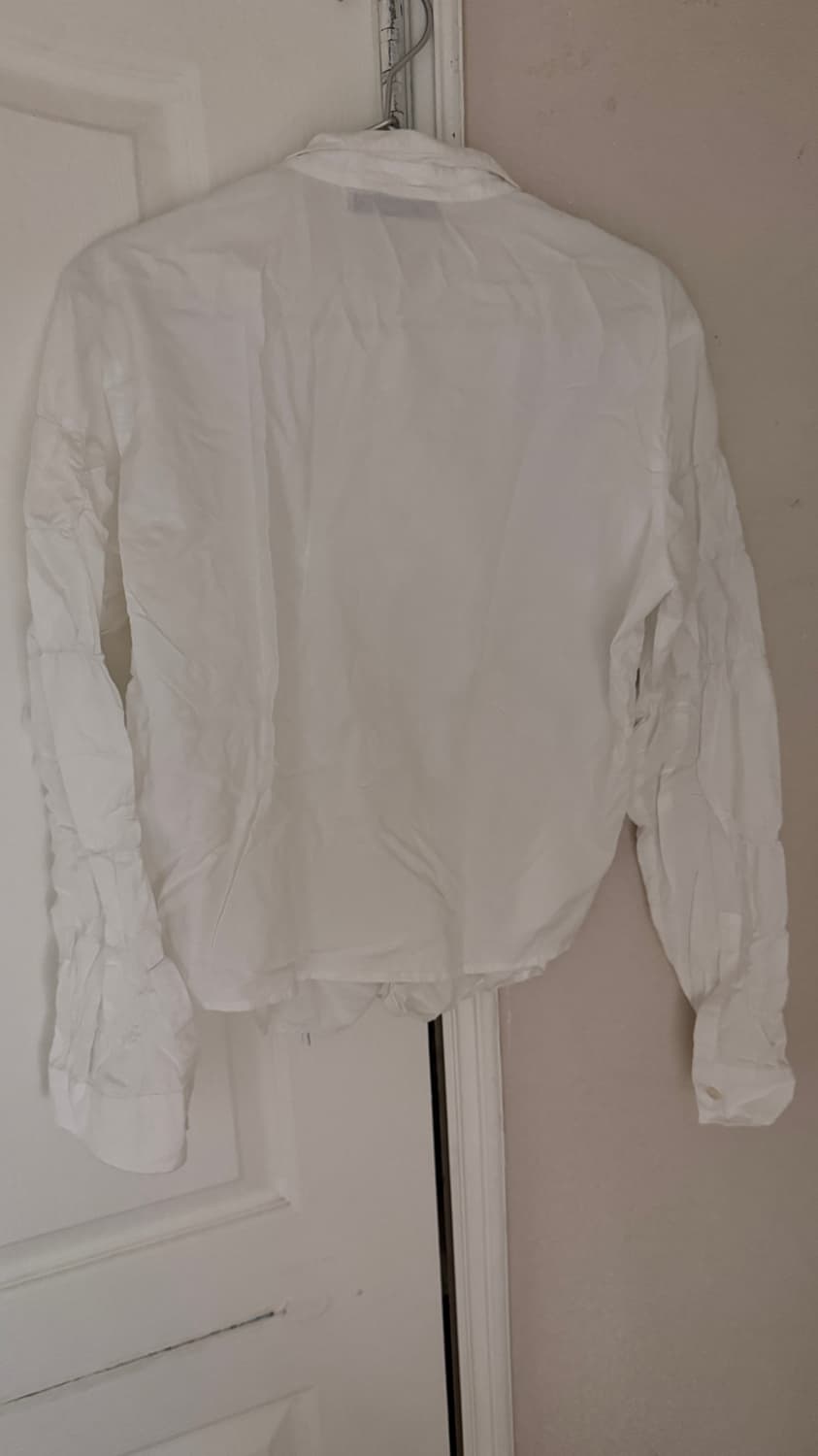 gimaguas Lupa shirt M  상품이미지5