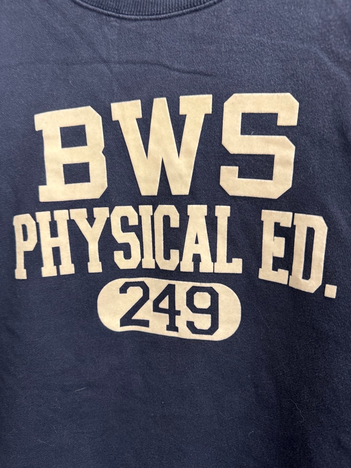 챔피온 빈티지 BWS 스웻셔츠 상품이미지2