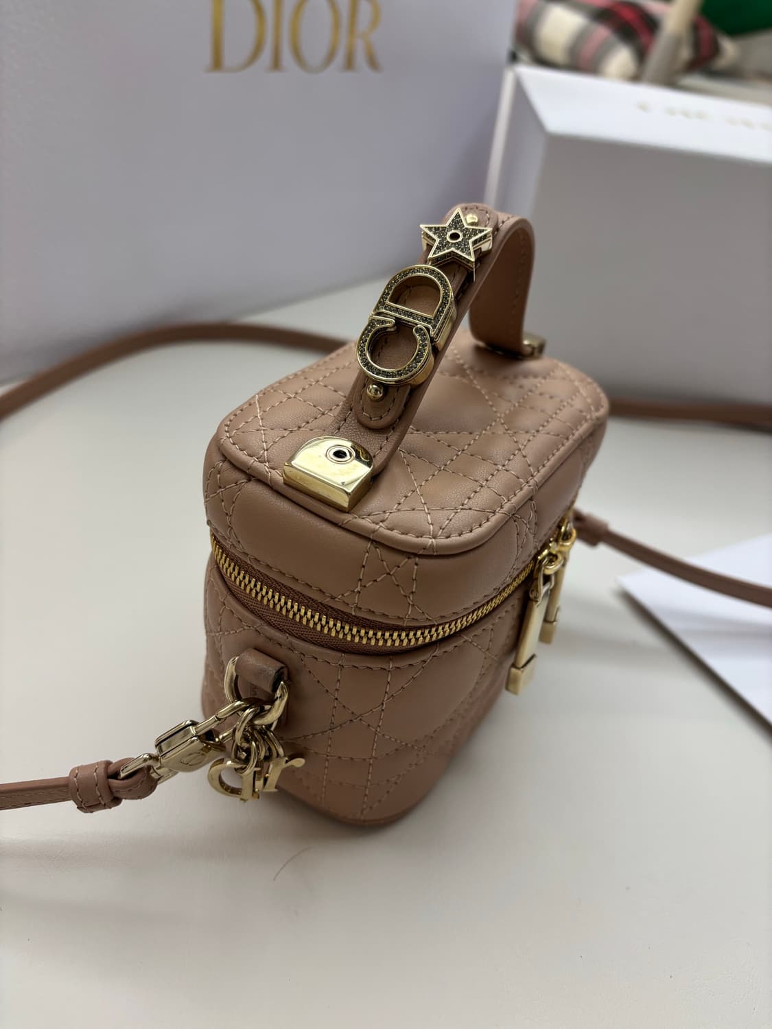 디올 마이크로 베니티 로즈드방 뉴버전 (2025.02 구매) 상품이미지5