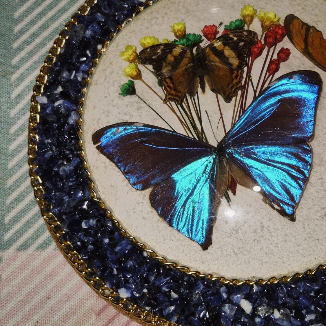 90s 브라질 모르포 나비 표본 원석 벽걸이 상품이미지9