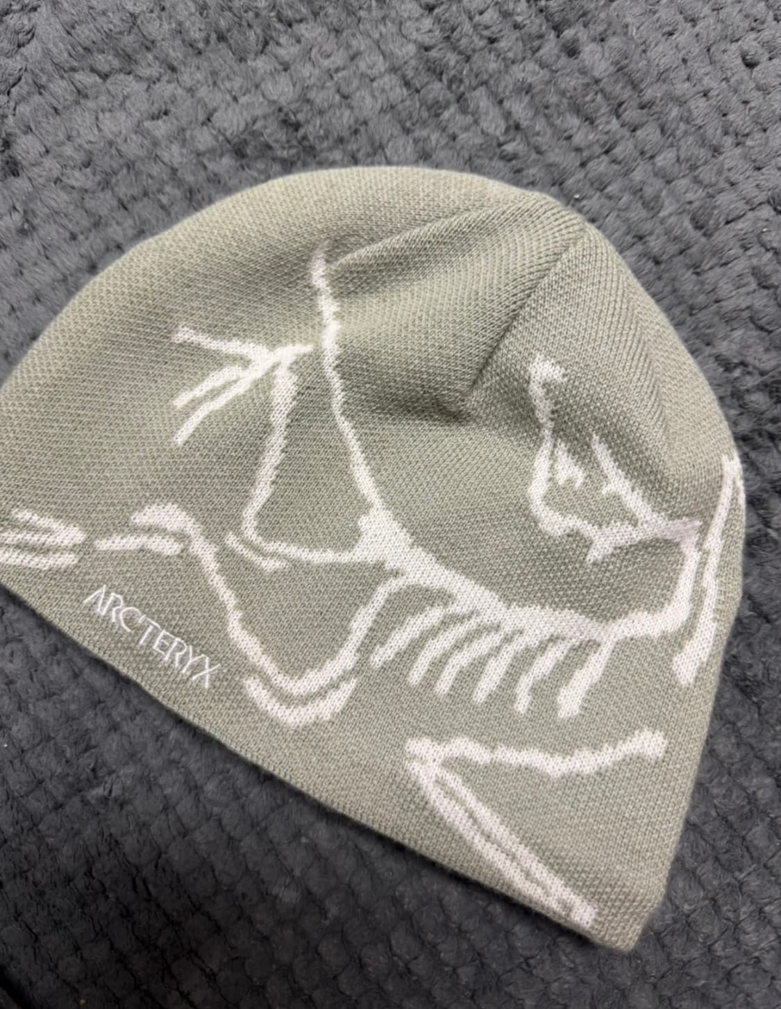 아크테릭스 버드 헤드 해비타트 상품이미지2