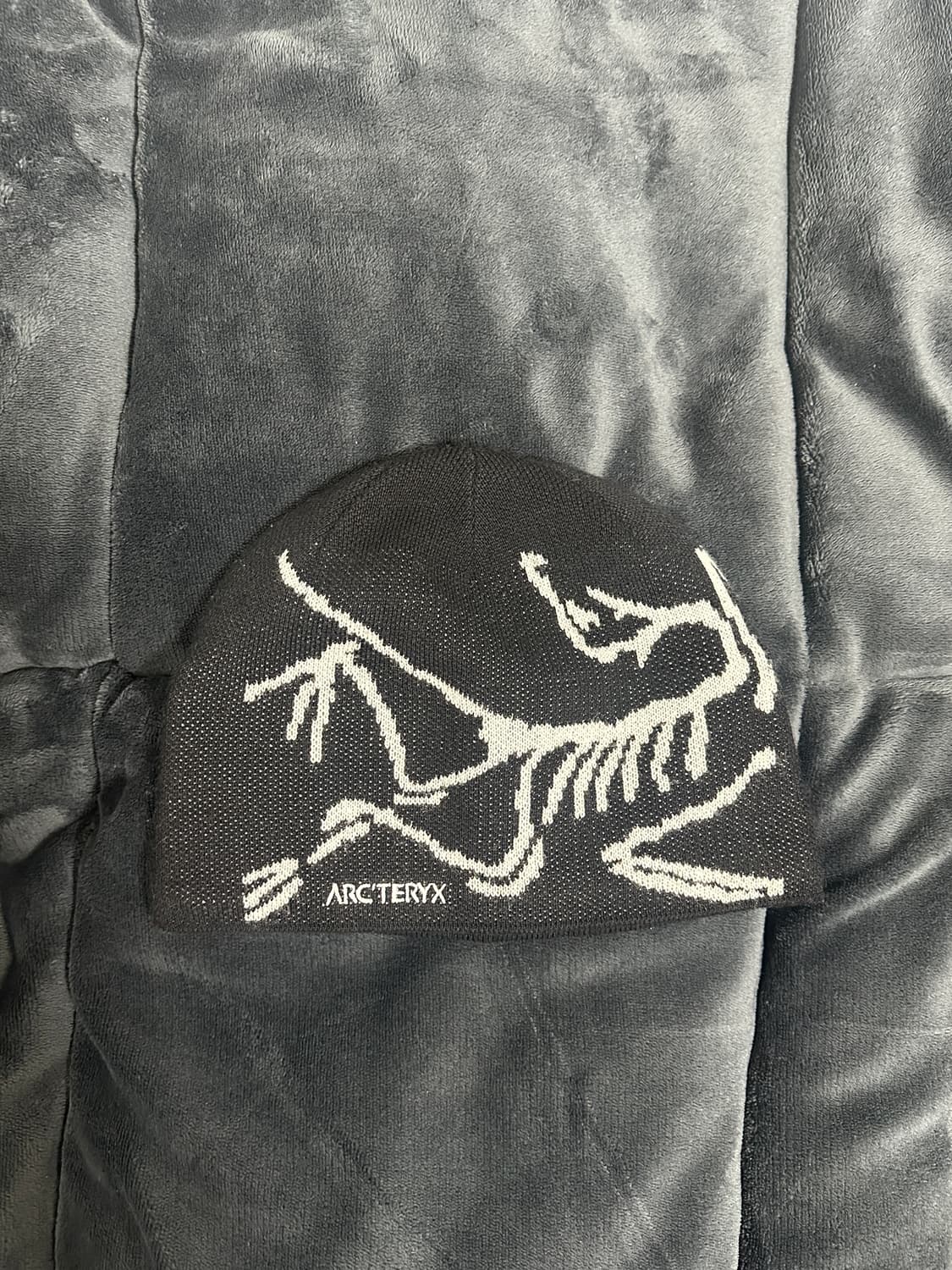 아크테릭스 버드 헤드 토크 오르카 상품이미지1