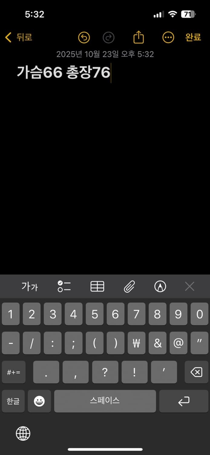 나이키 ACG 패딩자켓 상품이미지5
