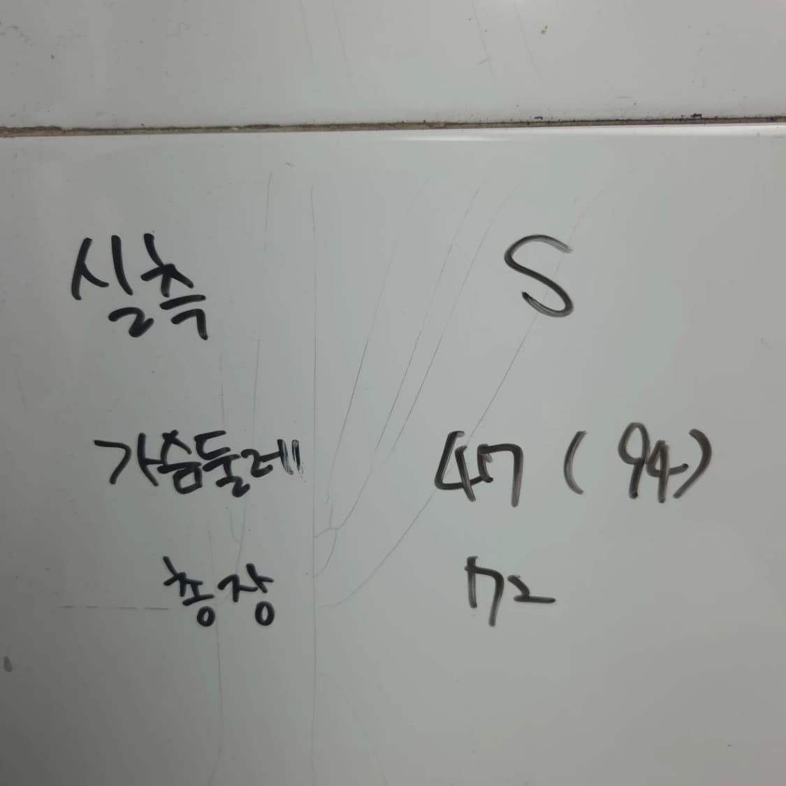 남여 S 나이키 스우시 빅로고 반팔 티셔츠 상품이미지7