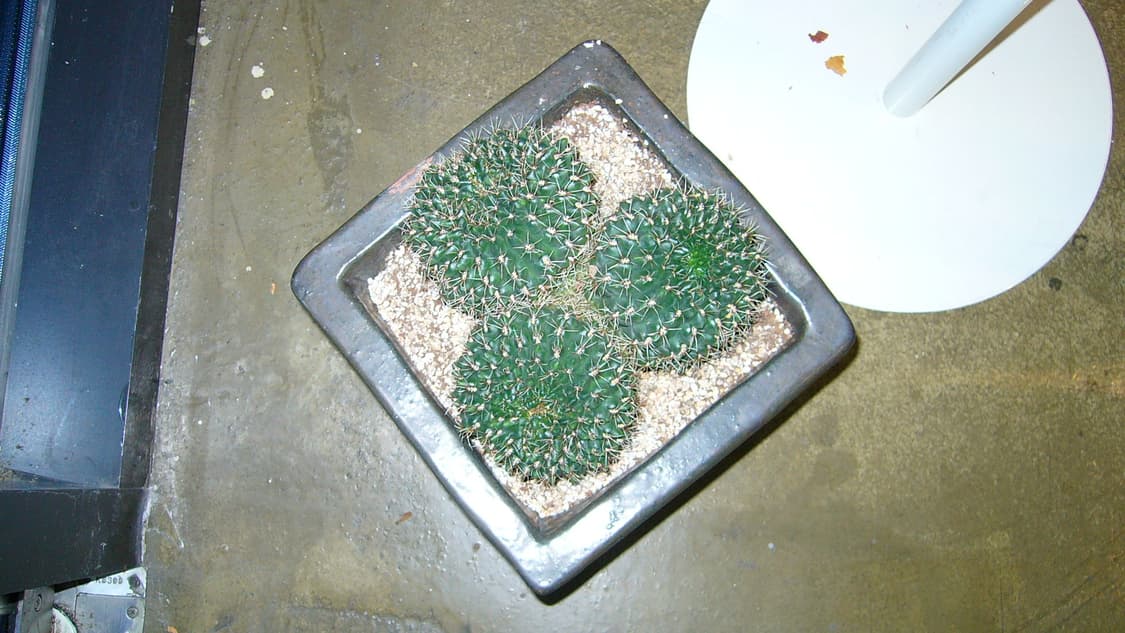 파나소닉 루믹스 dmc-ls1 블루 빈티지 디카 상품이미지10