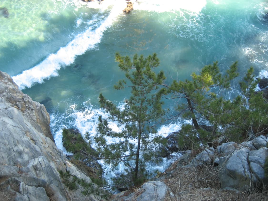 캐논 익서스 60 익시 70 상품이미지5