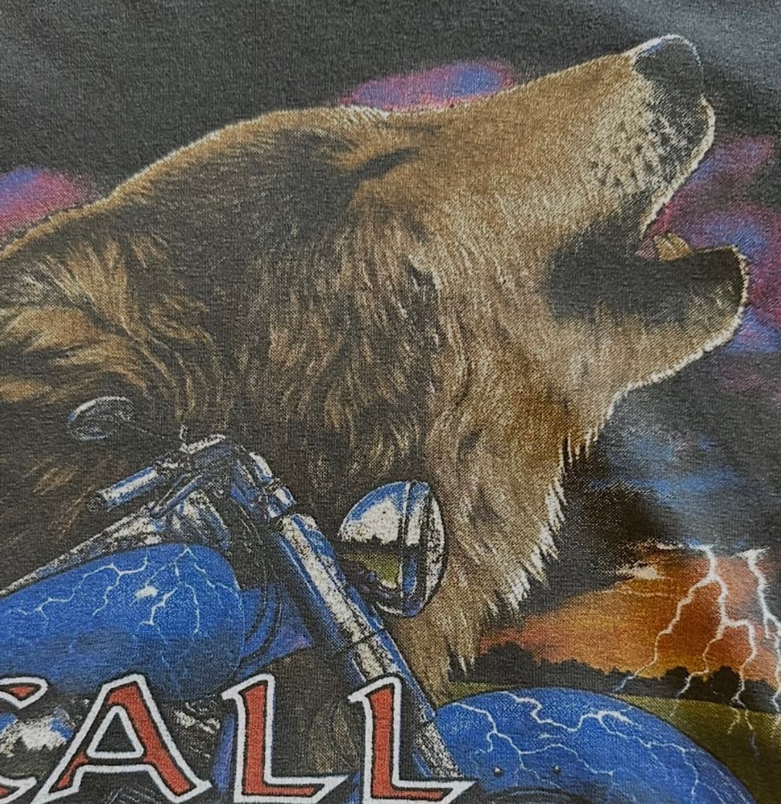 90s 아메리칸 썬더 무드 'Call of the Wild' -XL 상품이미지3