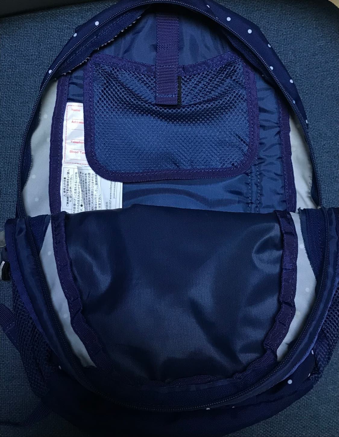 Coleman 콜맨 도트 백팩 네이비 파랑 상품이미지6