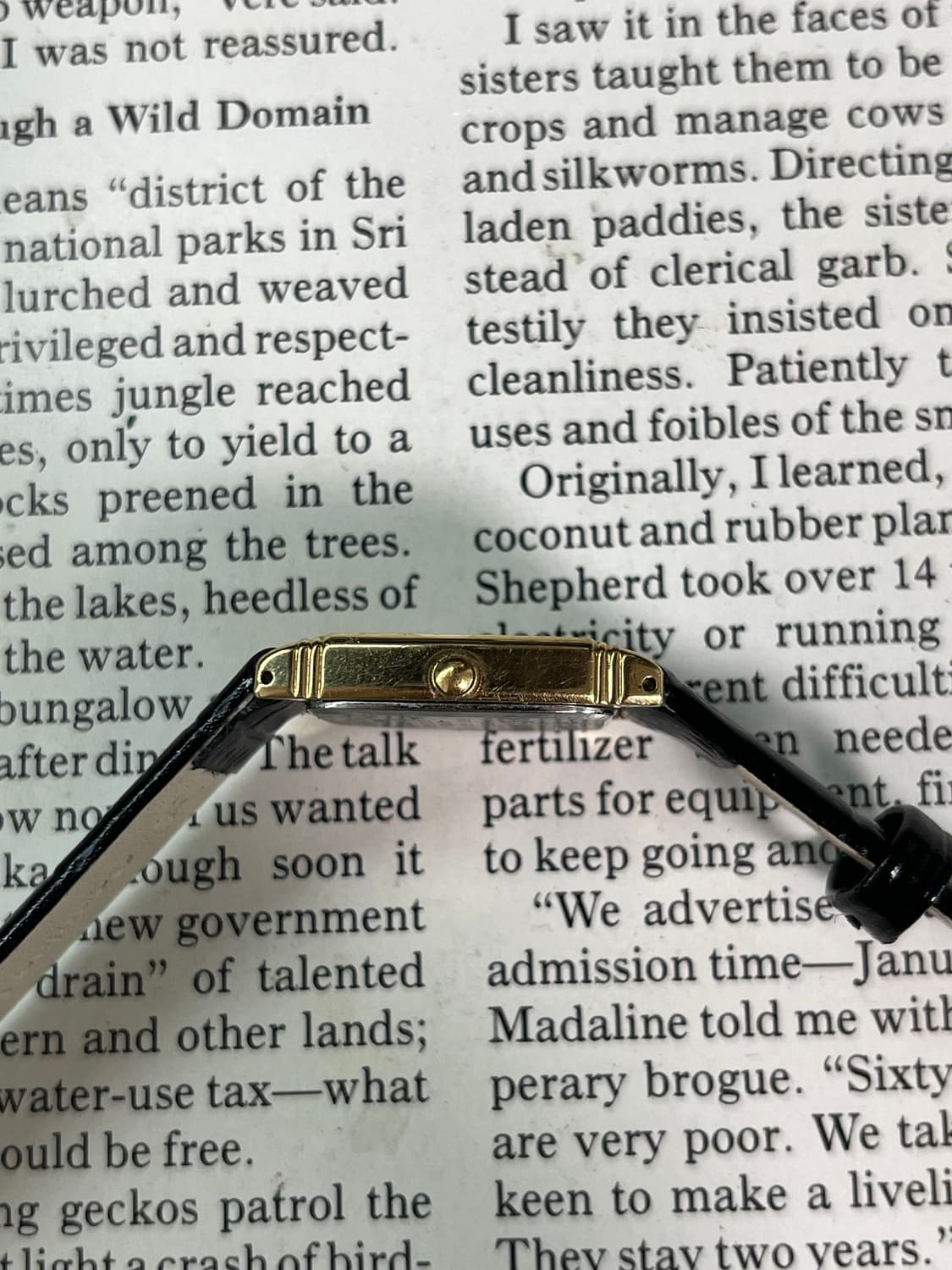 SEIKO 골드 탱크 레이디스 쿼츠 상품이미지3