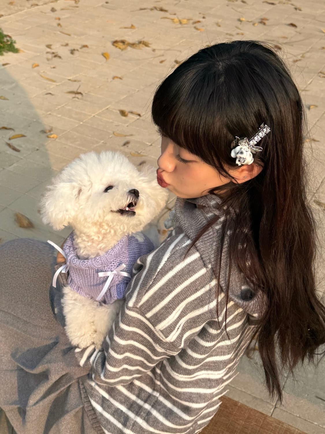 강아지 머리핀 상품이미지4