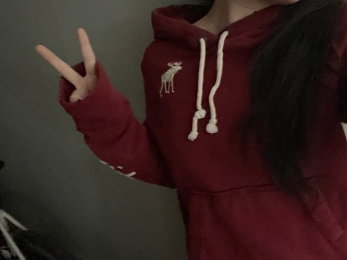 유일매물)아베크롬비 빅 순록 버건디 후드티 상품이미지4