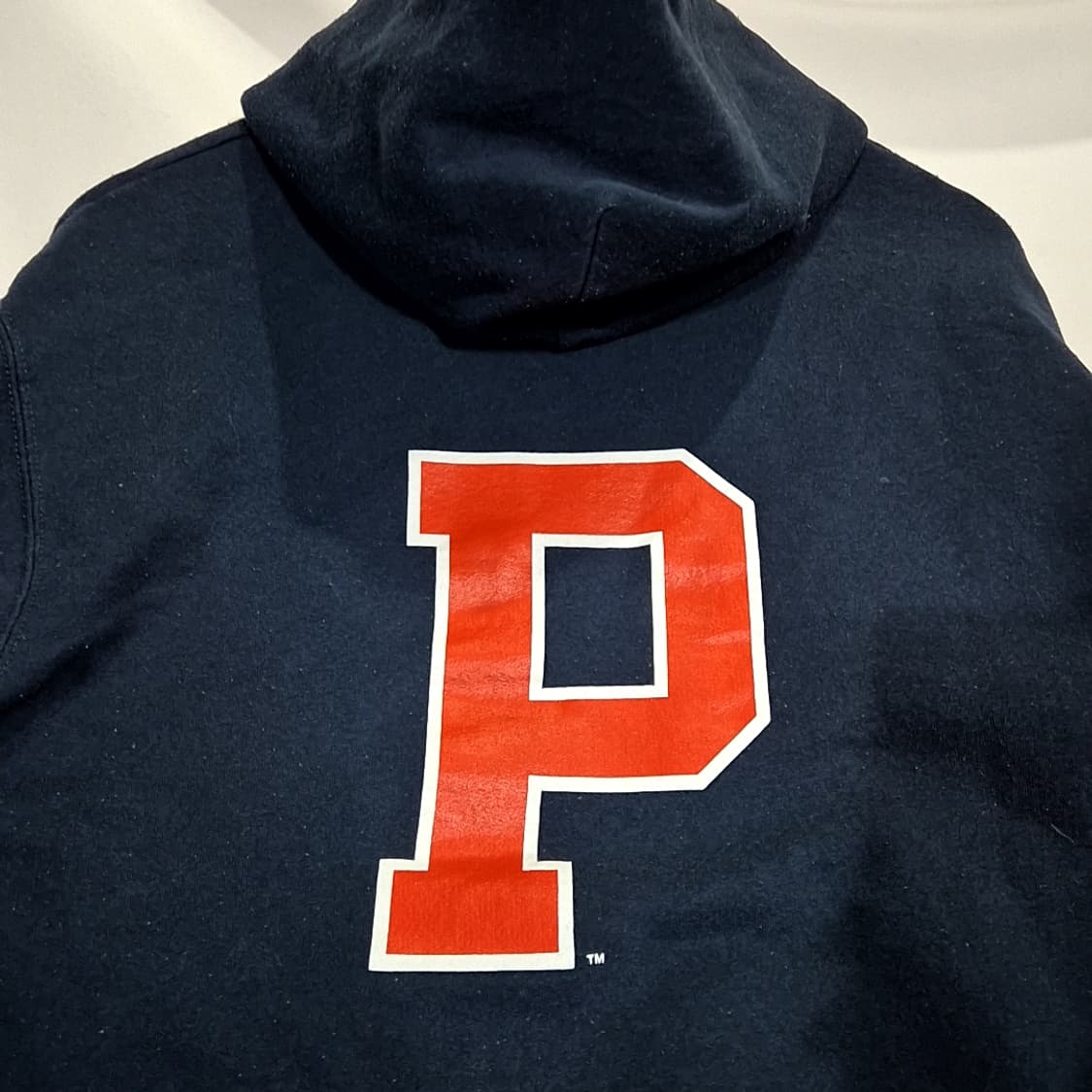 챔피온 PRINCETON Uni.후드티 상품이미지6