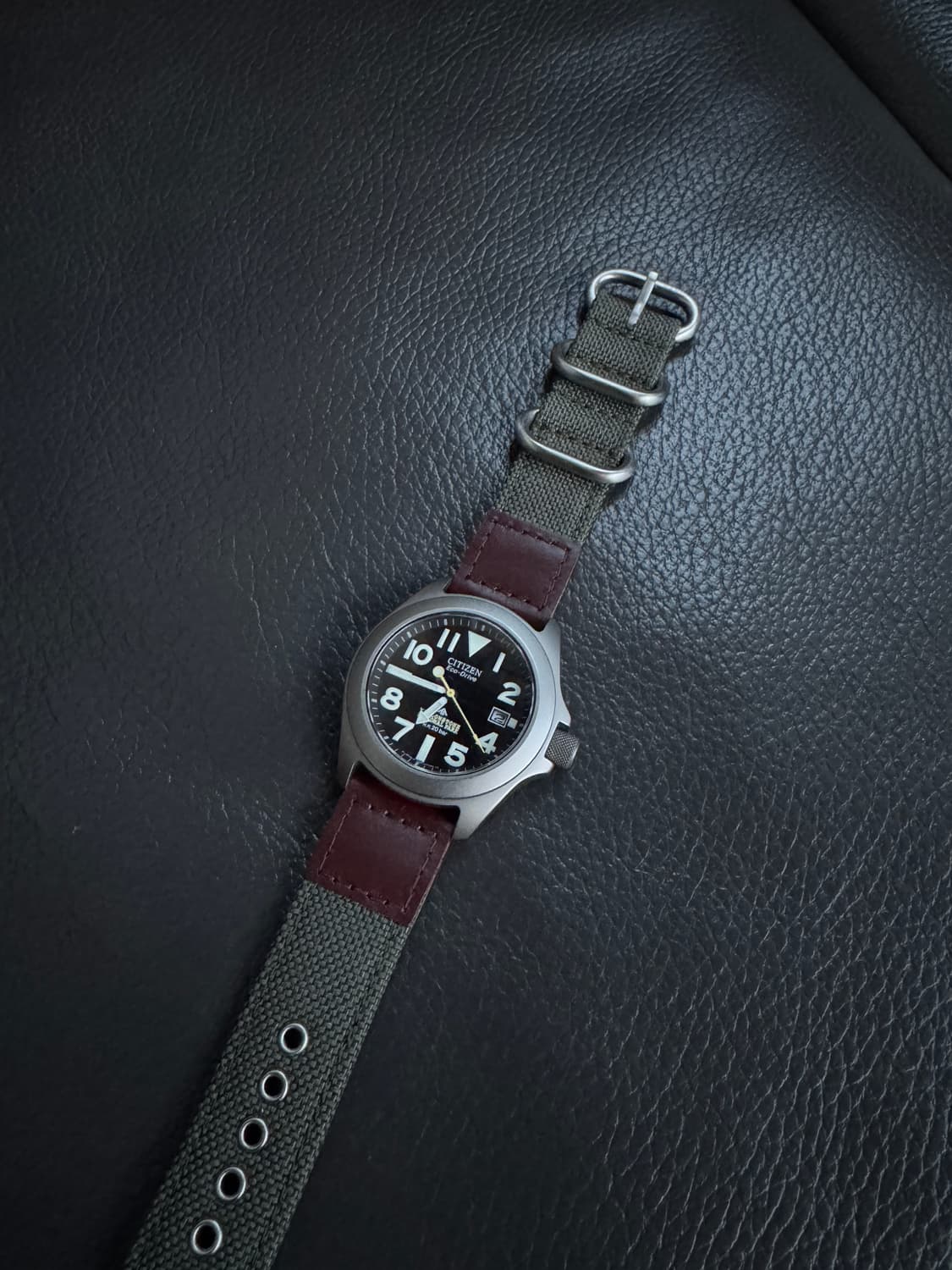 시티즌 프로마스터 터프 옐로스톤 국립공원 한정판 팝니다. 상품이미지3