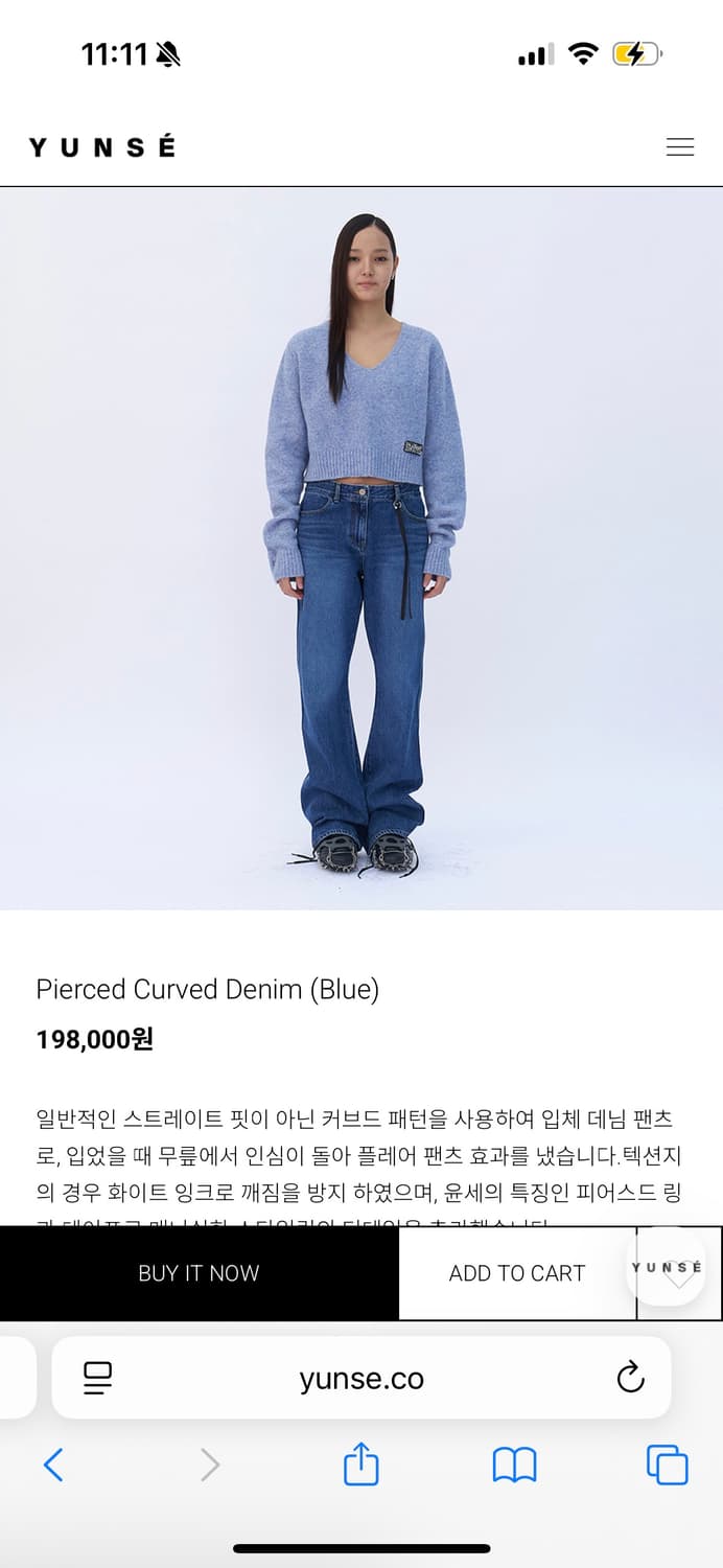 Yunse piereced denim 1 사이즈 상품이미지1