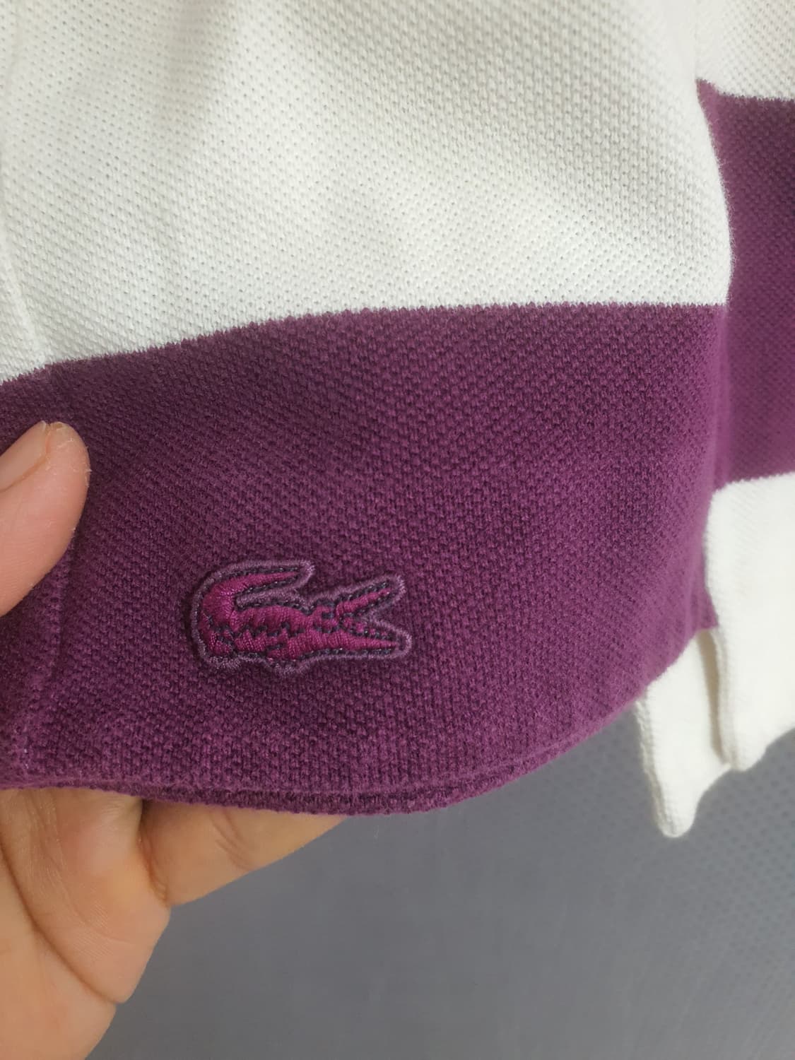 라코스테 완피스 36 상품이미지4