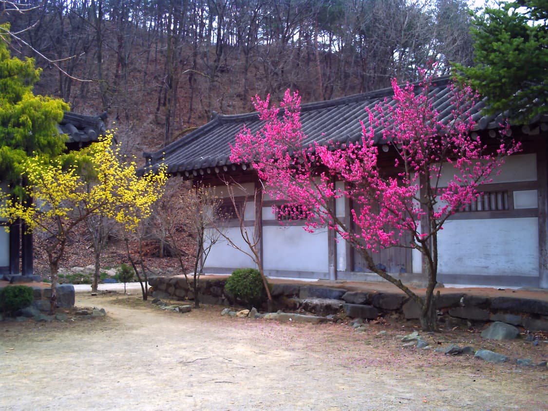 작례O vivitar 비비캠 vc5050  상품이미지10