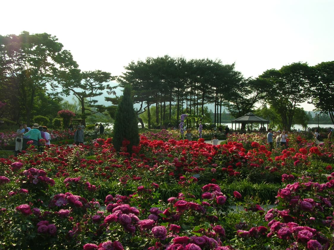 빈티지 디카 작례 O 📸 니콘 쿨픽스 4100 + 충전지 상품이미지9