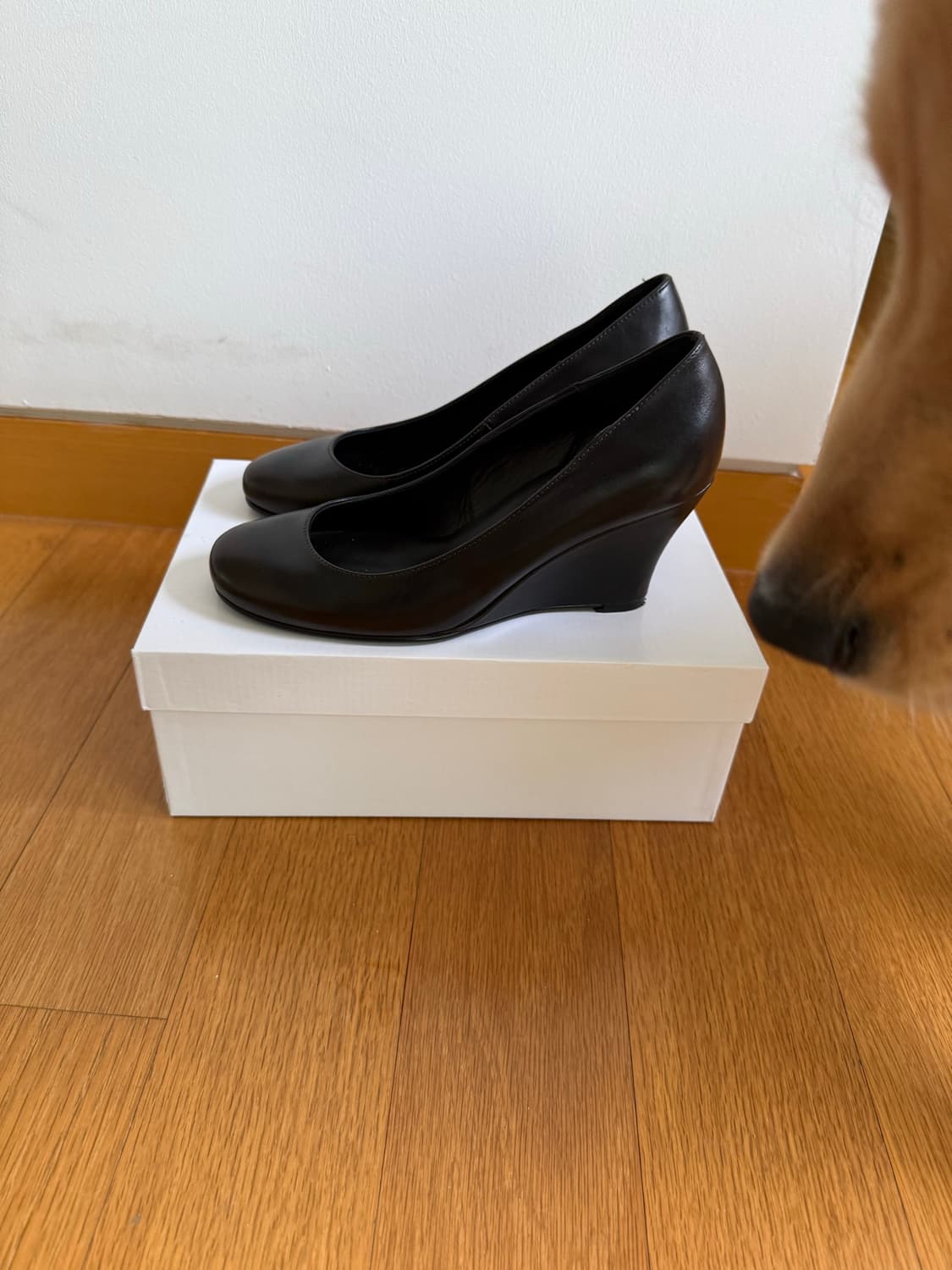 gimaguas Bailarina Wedges(38) 상품이미지3