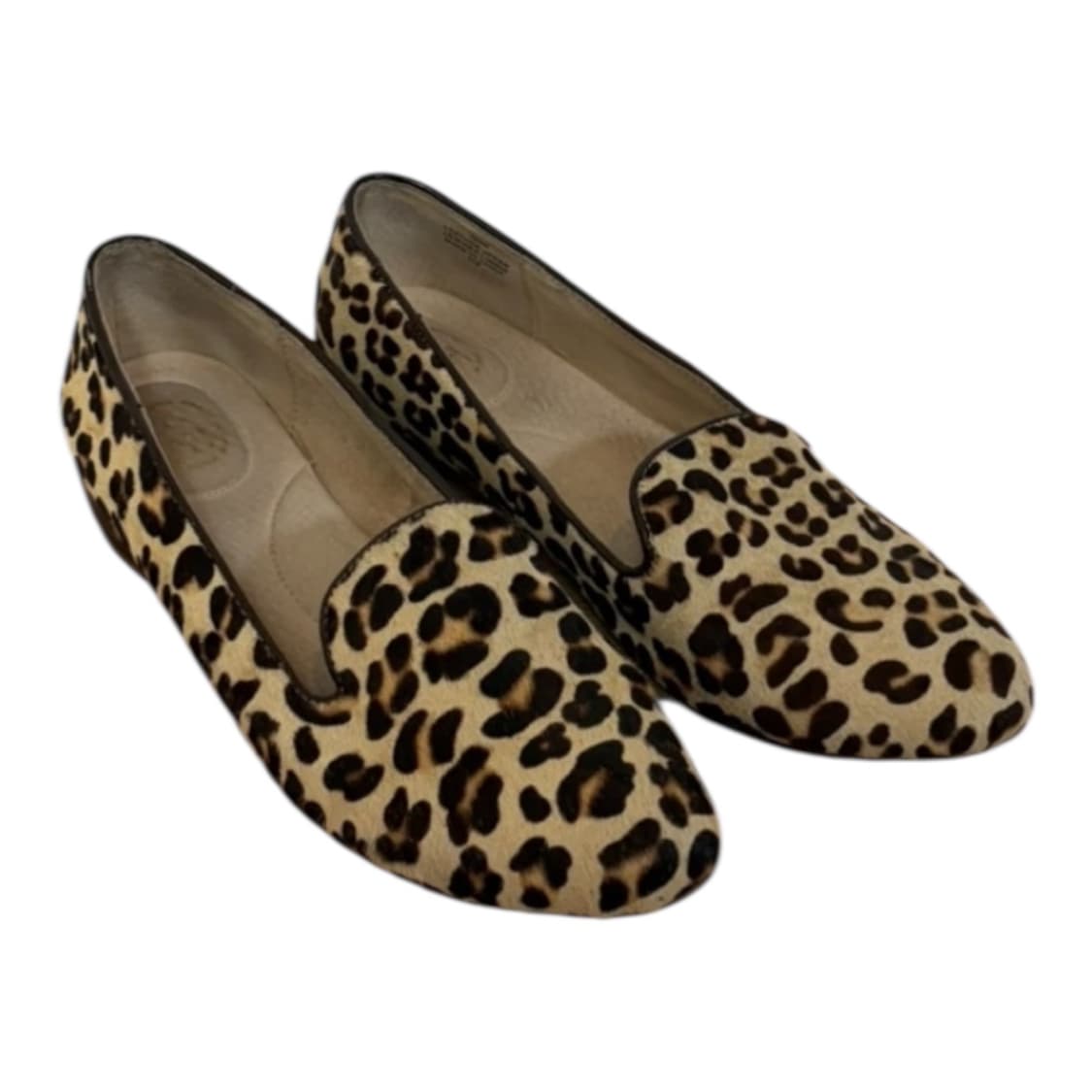 Ash 로퍼 37 상품이미지2