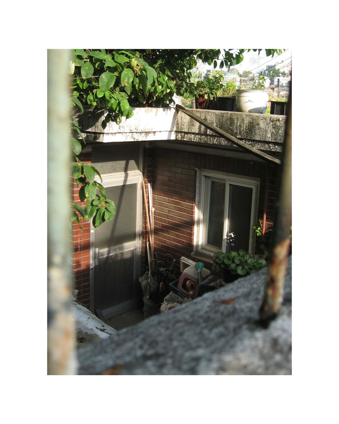 캐논 파워샷 A550 상품이미지7