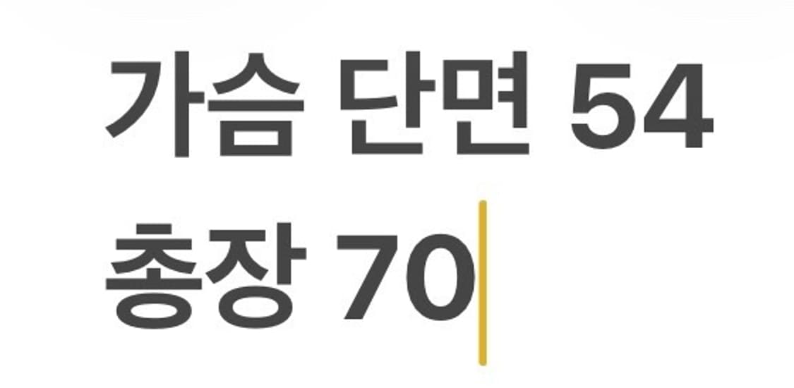 [정품/XL] 타이틀리스트 화이트 골프 바람막이 조끼 b19 상품이미지8