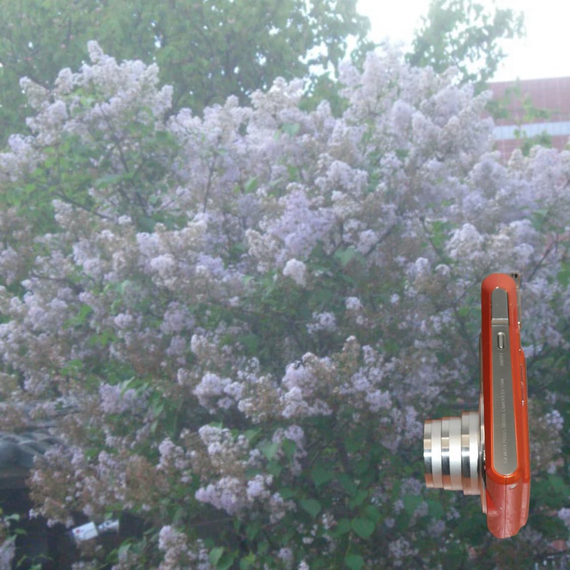 Casio EX-S500(✨A급/🎁풀패키지) 상품이미지8