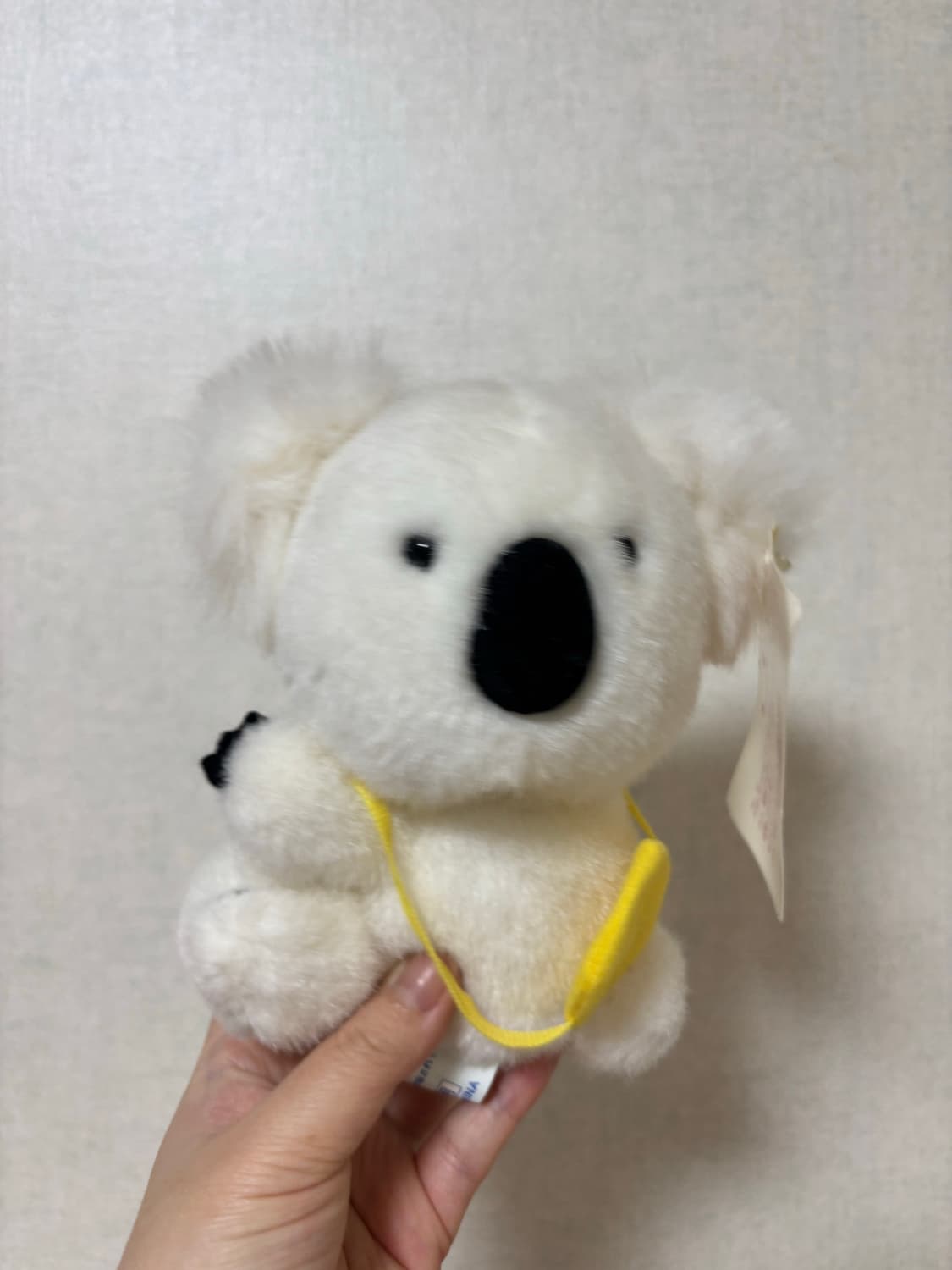 고전 빈티지 피너츠클럽 코알라 인형 상품이미지2