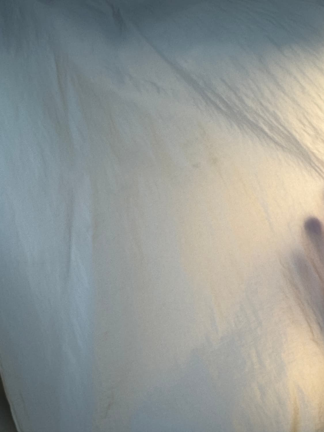 아모멘토 시어 스트링 아노락 화이트 M 상품이미지4