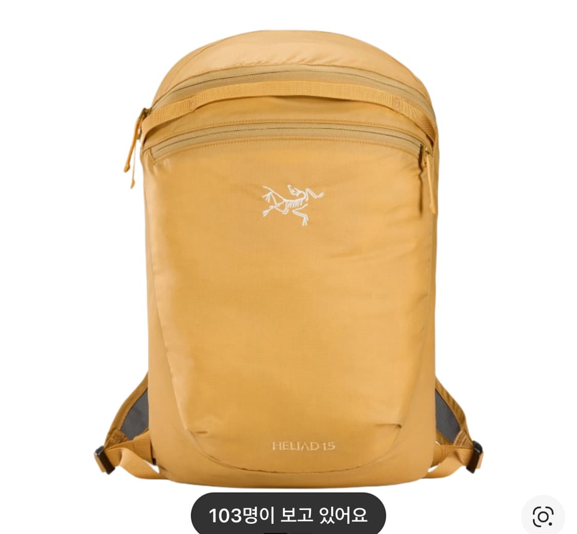 아크테릭스 헬리아드 15 포리지 상품이미지3