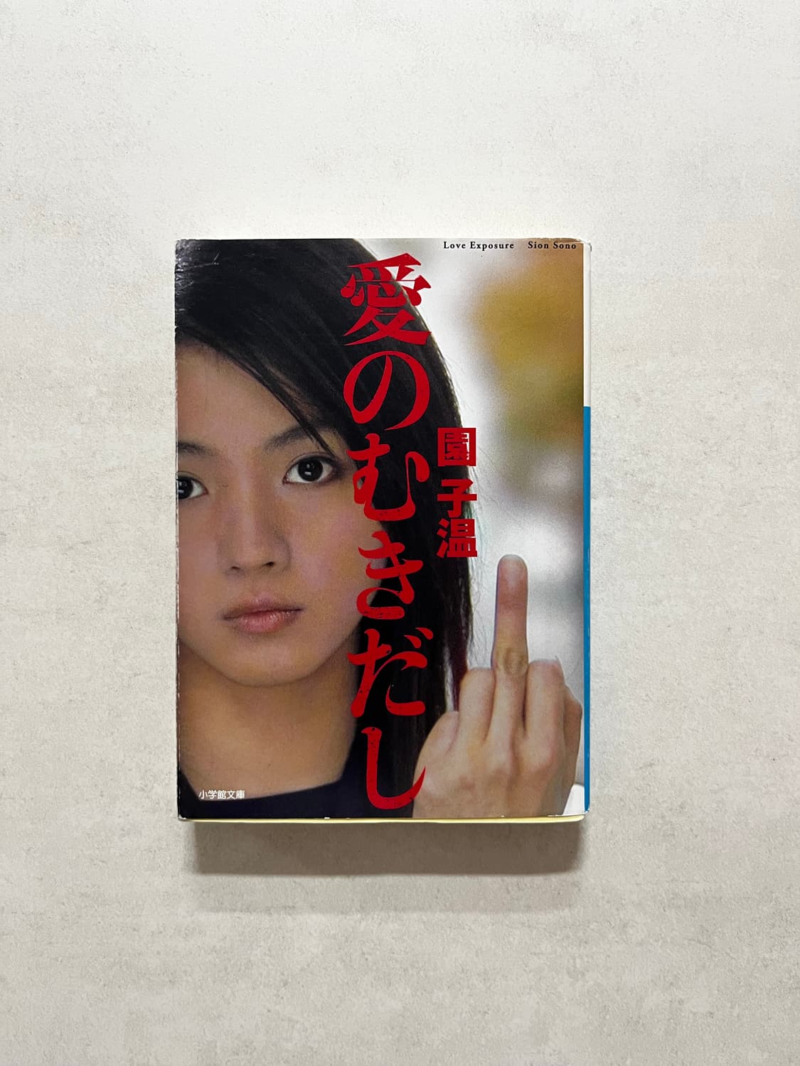 Love exposure 러브 익스포저 원서 상품이미지1