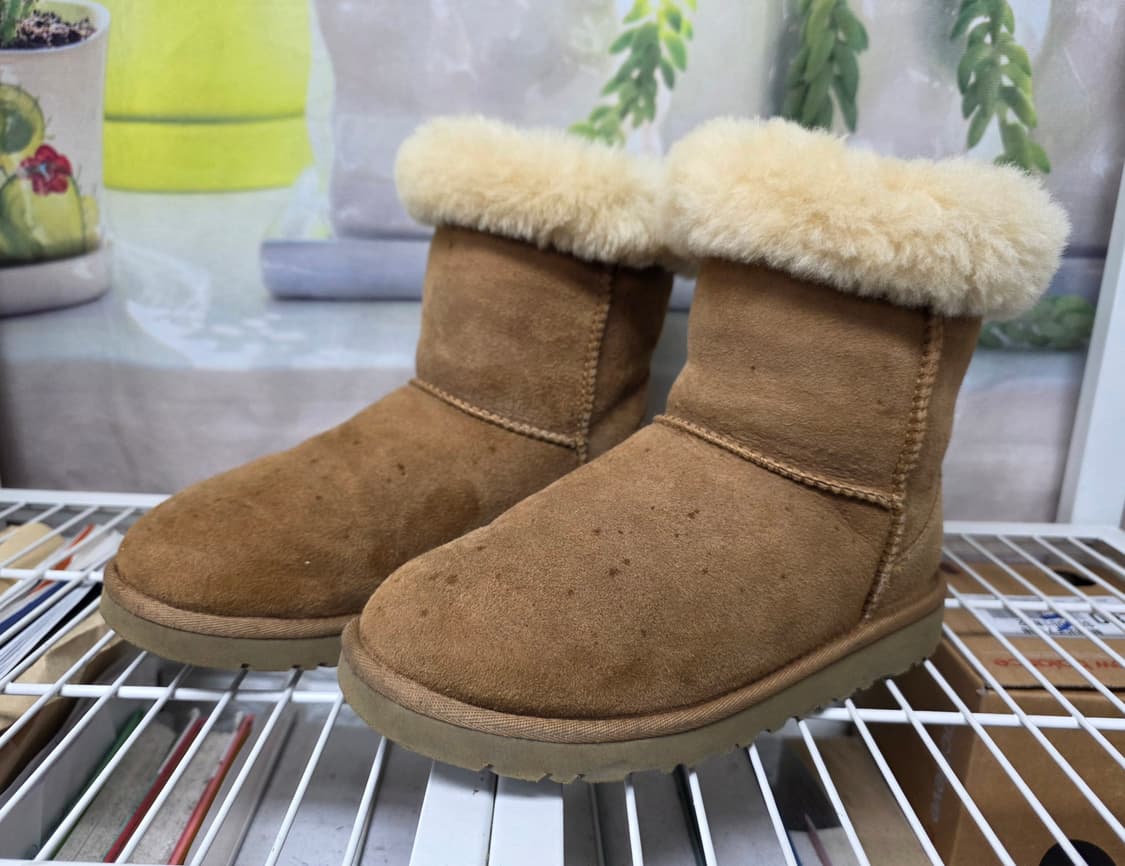 어그부츠 클래식 220~225 털 숏부츠 겨울 여성방한부츠 LB74 상품이미지1