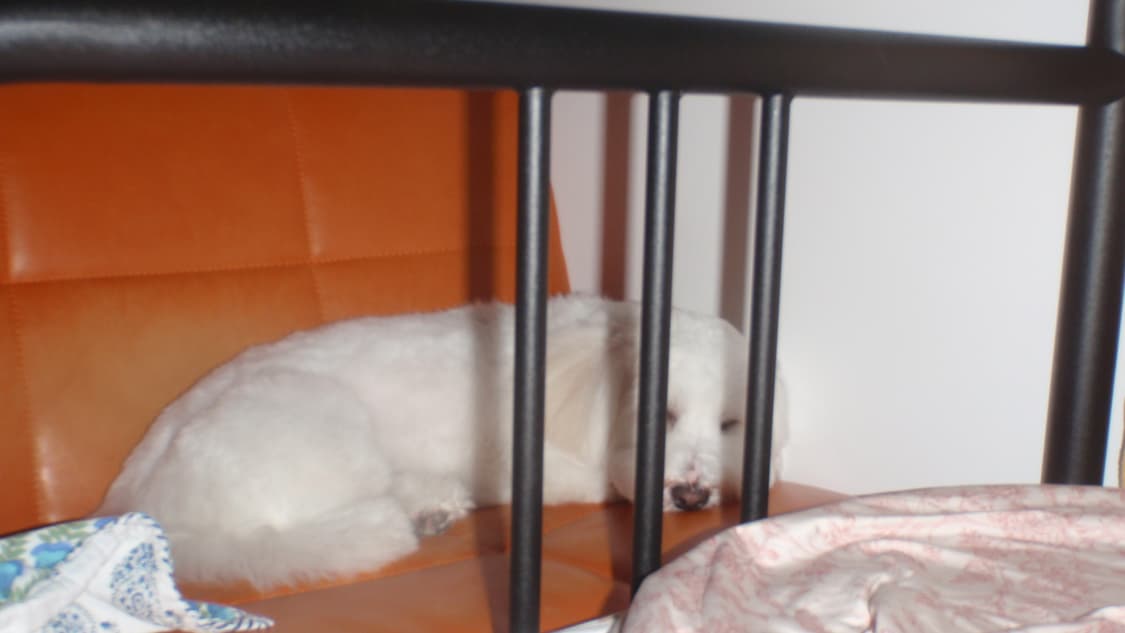 올림푸스 뮤 터프 8000(작례O) 상품이미지10