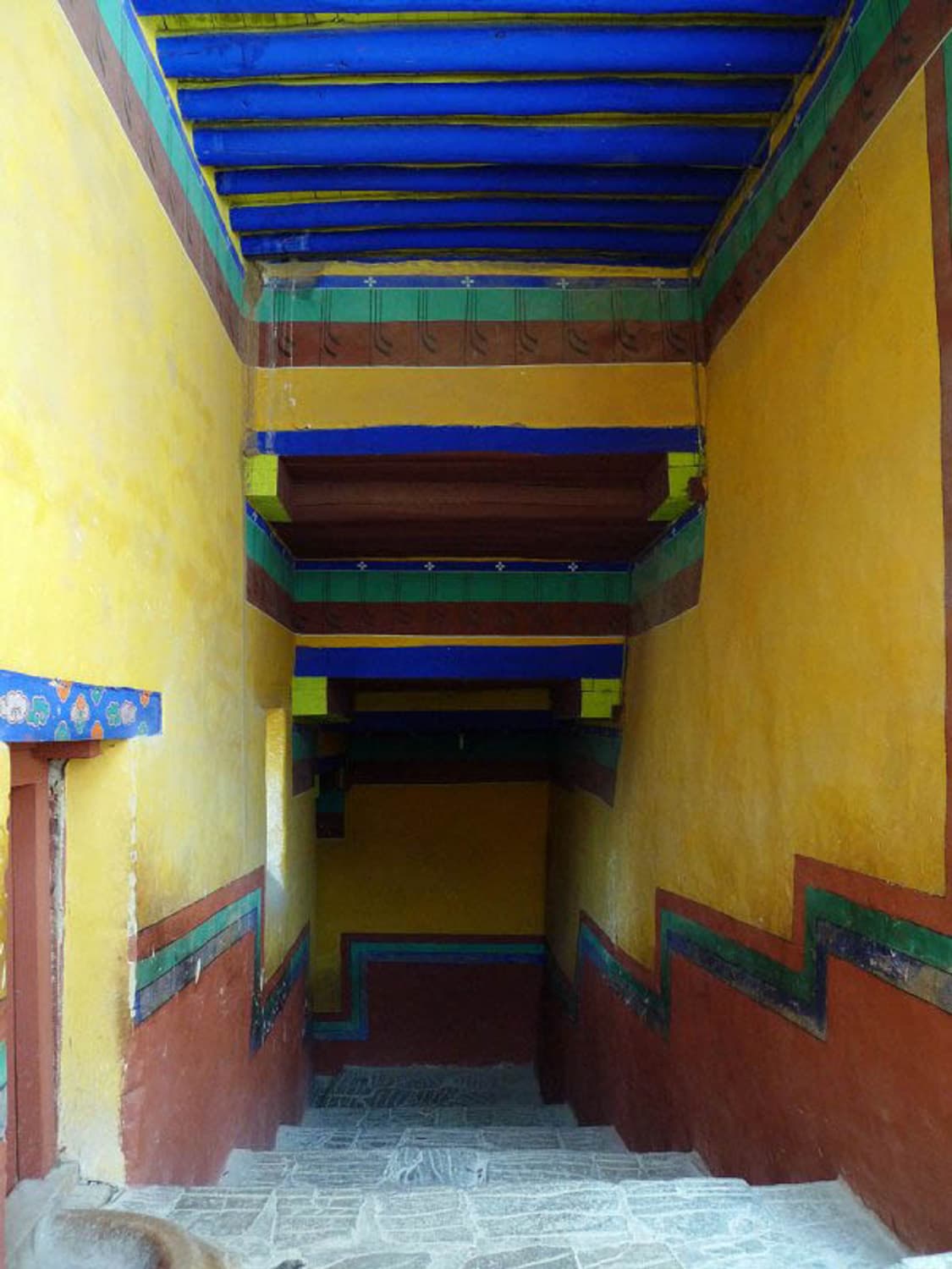 Nikon Coolpix 2100 (니콘 쿨픽스 2100) 상품이미지8