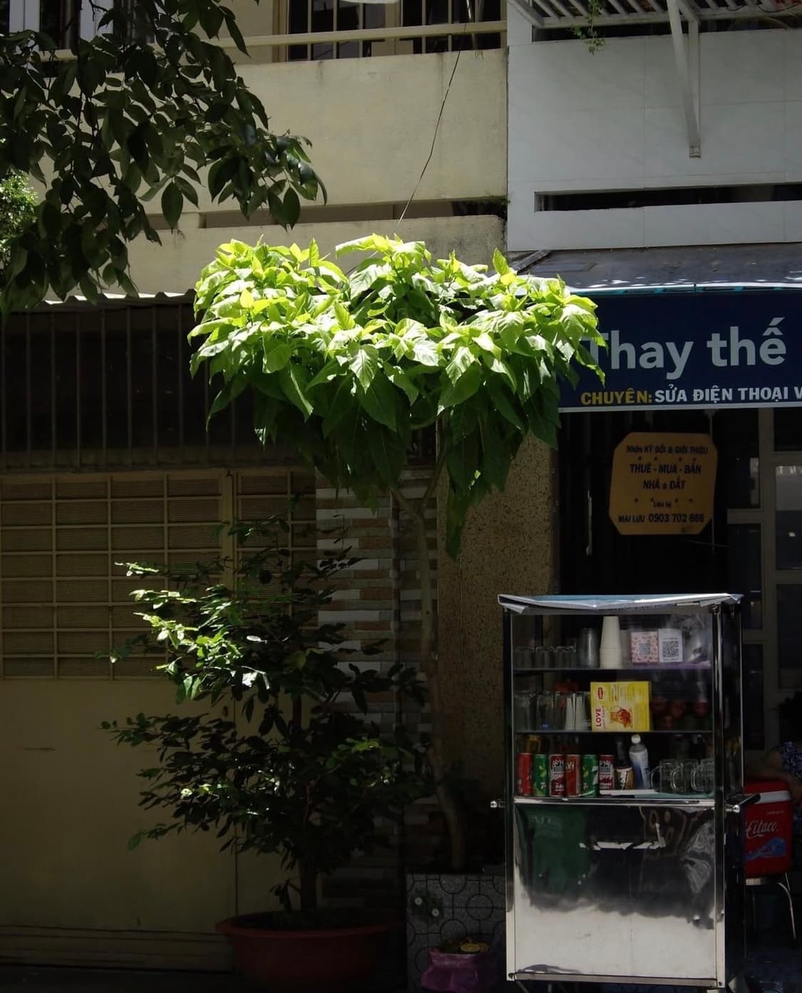 펜탁스 옵티오 s10 디지털카메라 상품이미지10