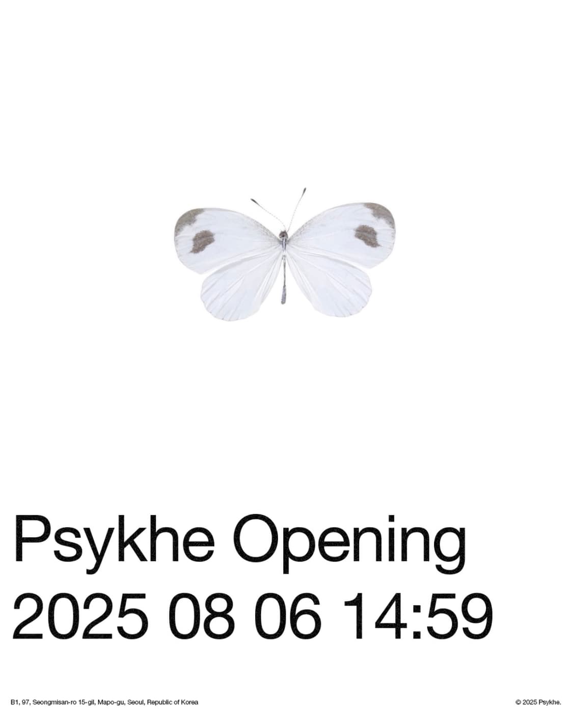 Psykhe Opening 상품이미지1