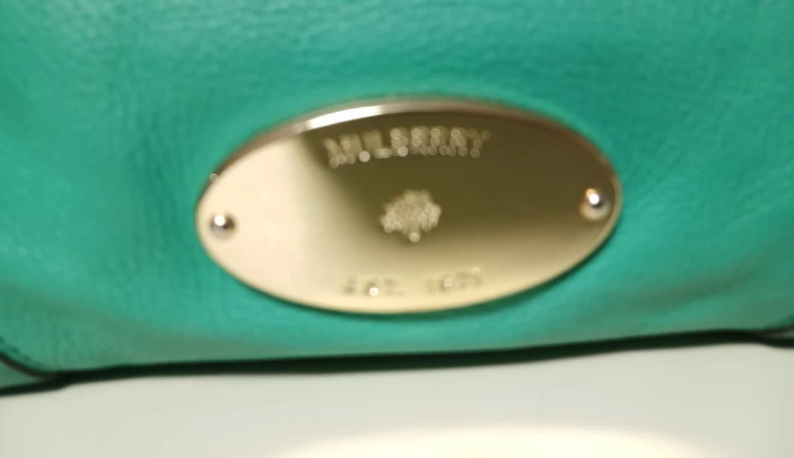 Mulberry 멀버리 테일러 오버사이즈 사첼백 민트 상품이미지4