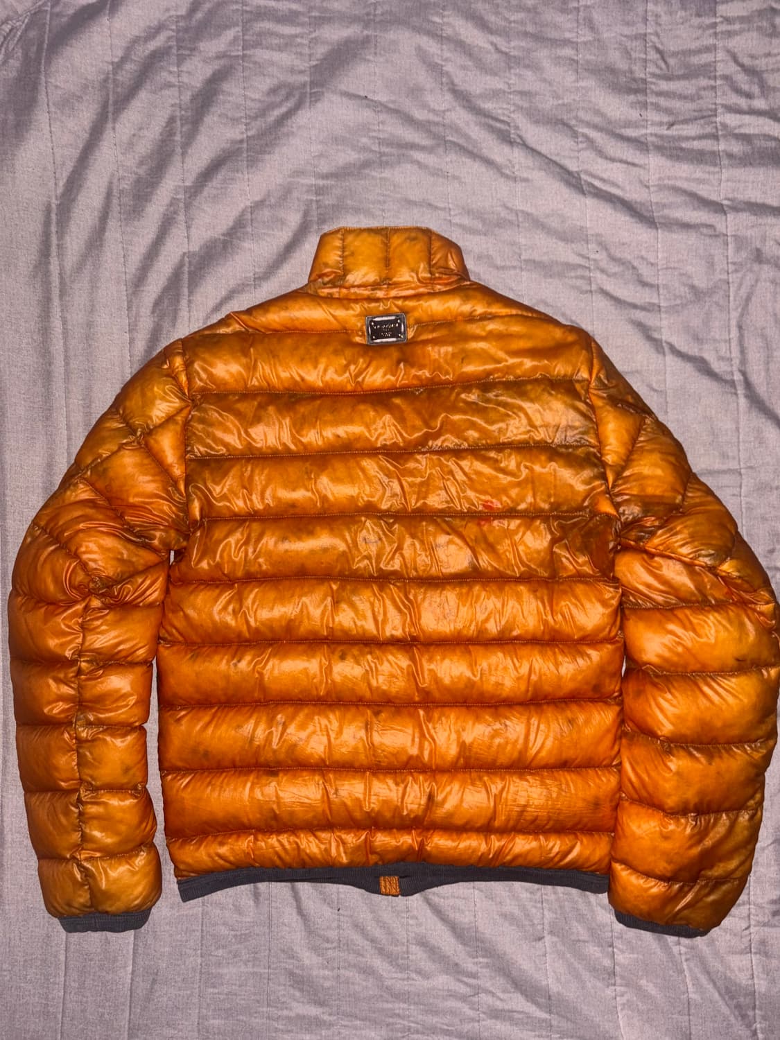 돌체앤가바나 recco 디디쉘 패딩 오렌지 상품이미지2