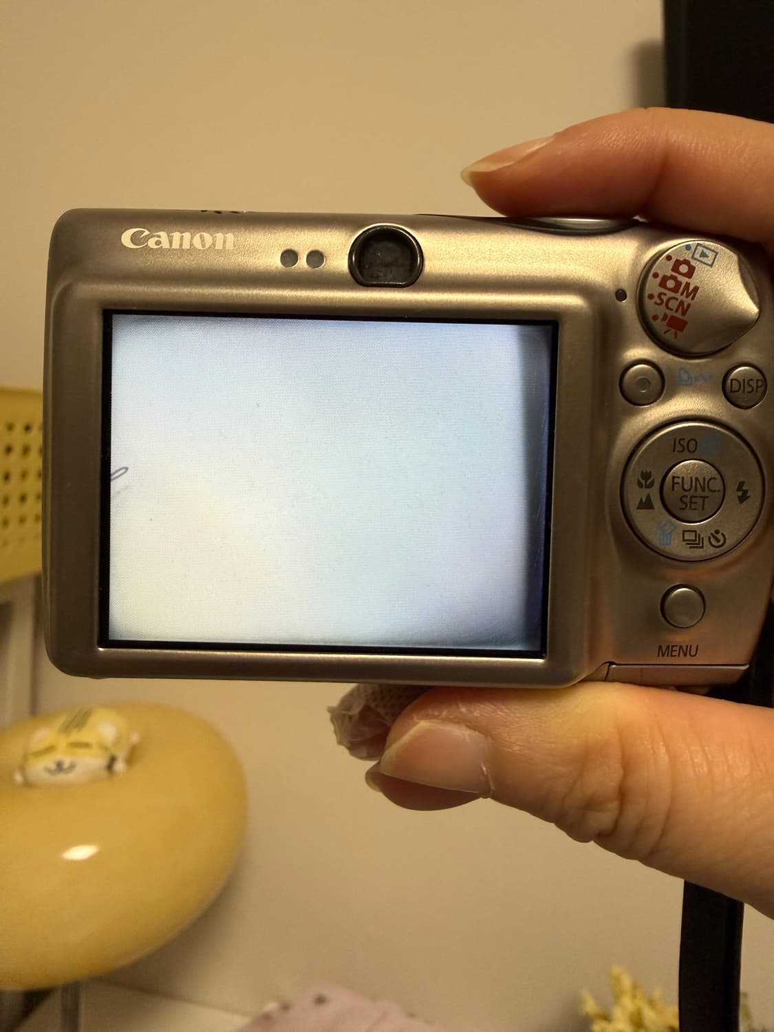 캐논 익서스 900 ti 티타늄 상품이미지7