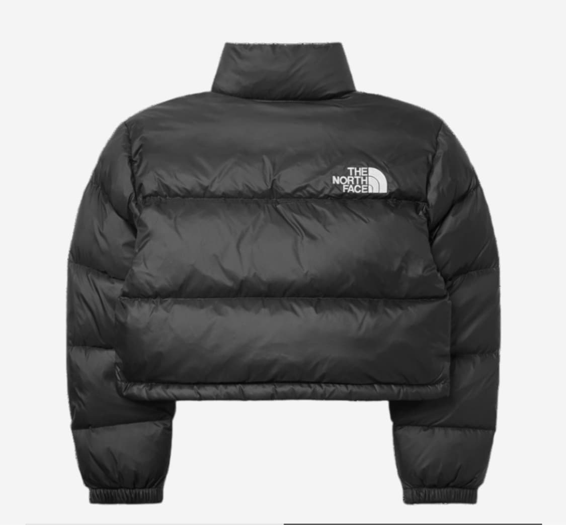 노스페이스 눕시 크롭 해외판 상품이미지2