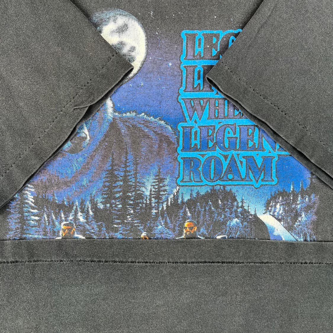 빈티지 할리데이비슨 Legends Roam Tee 상품이미지4