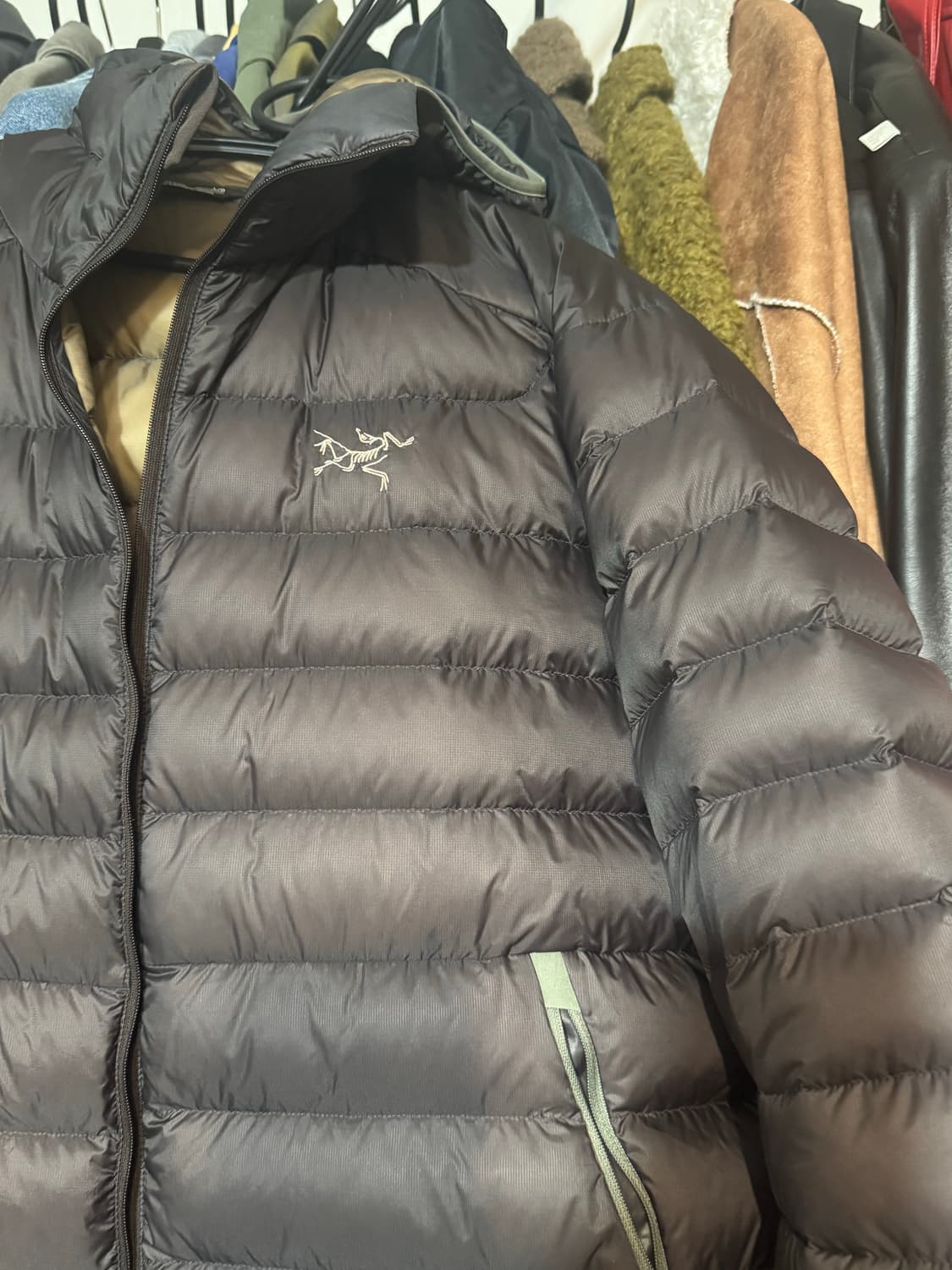 아크테릭스 세륨 후디 L 비터스 상품이미지3