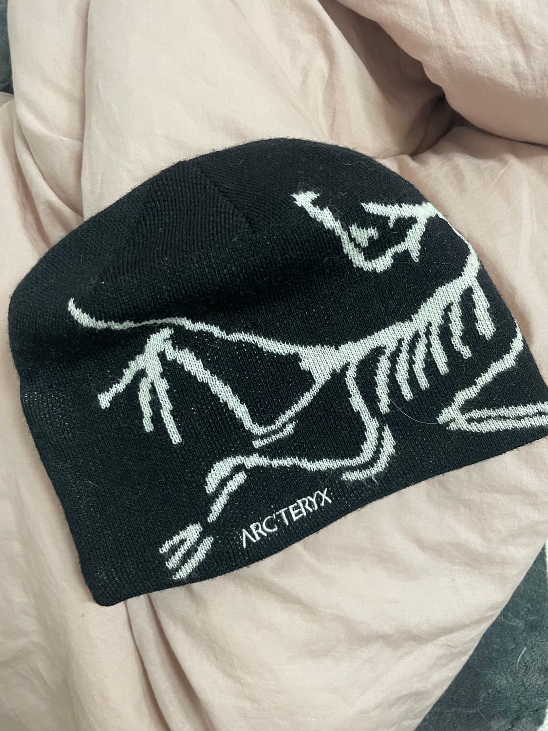 아크테릭스 비니 상품이미지1