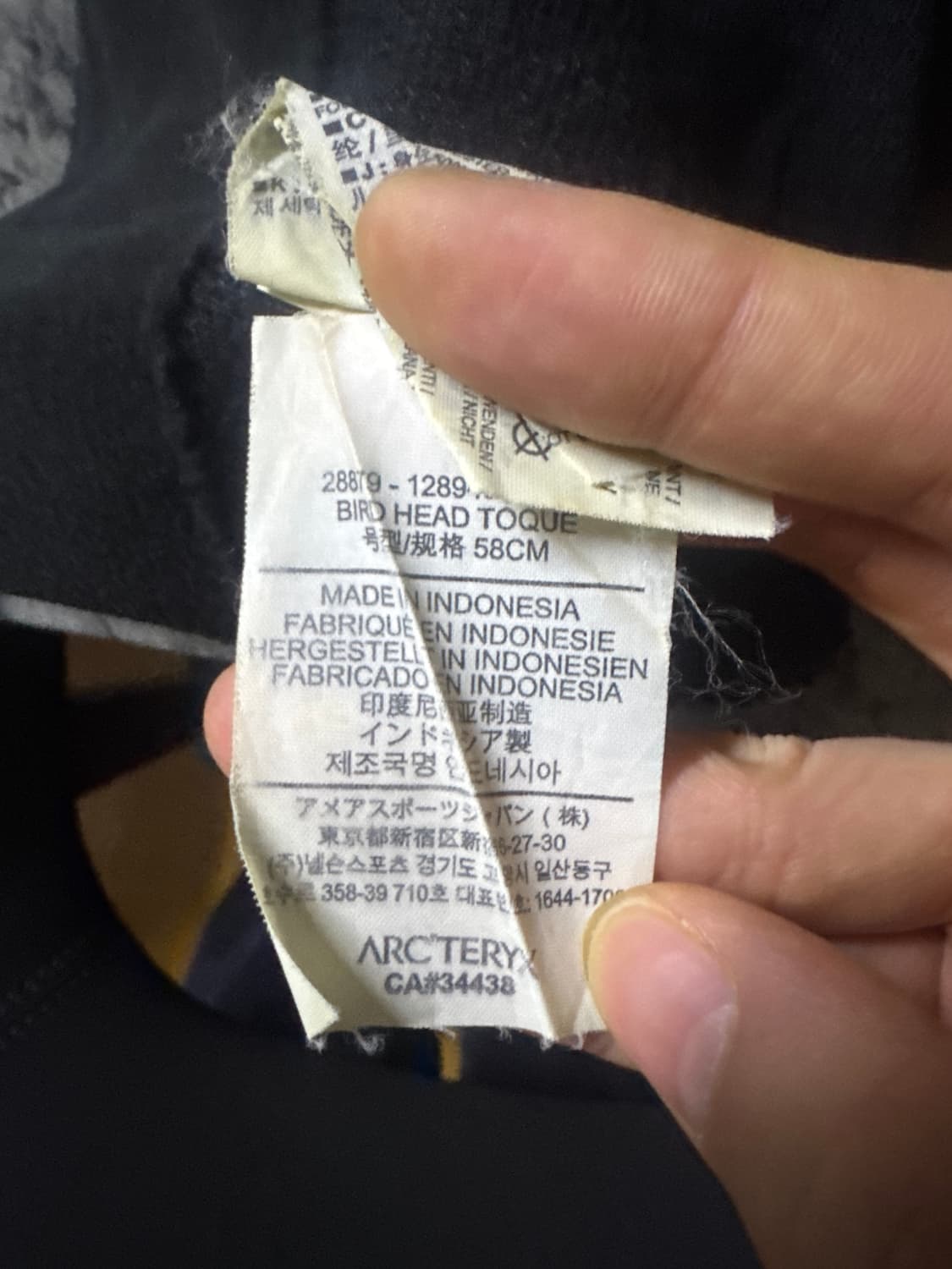 아크테릭스 버드헤드 토큰 24k 비니 상품이미지3