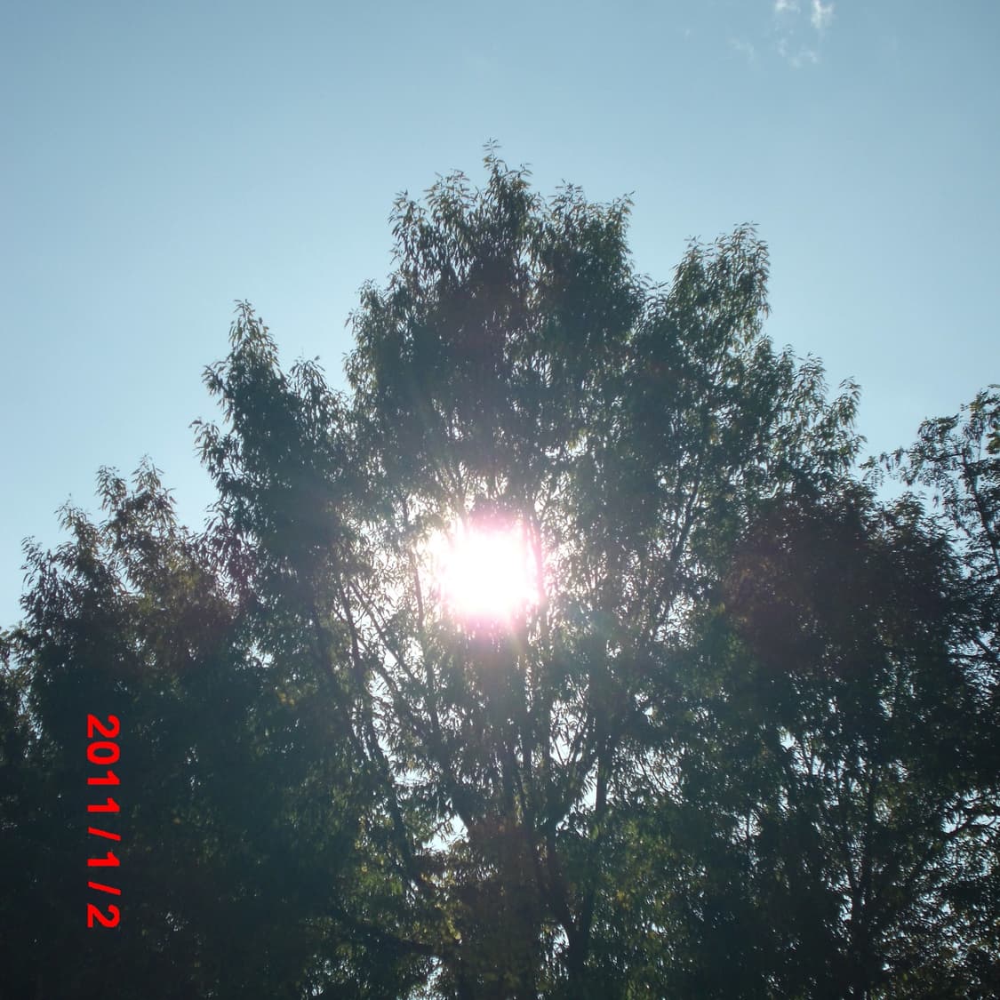 Casio Exilim zs-10 (✨민트급/풀세트) 상품이미지10