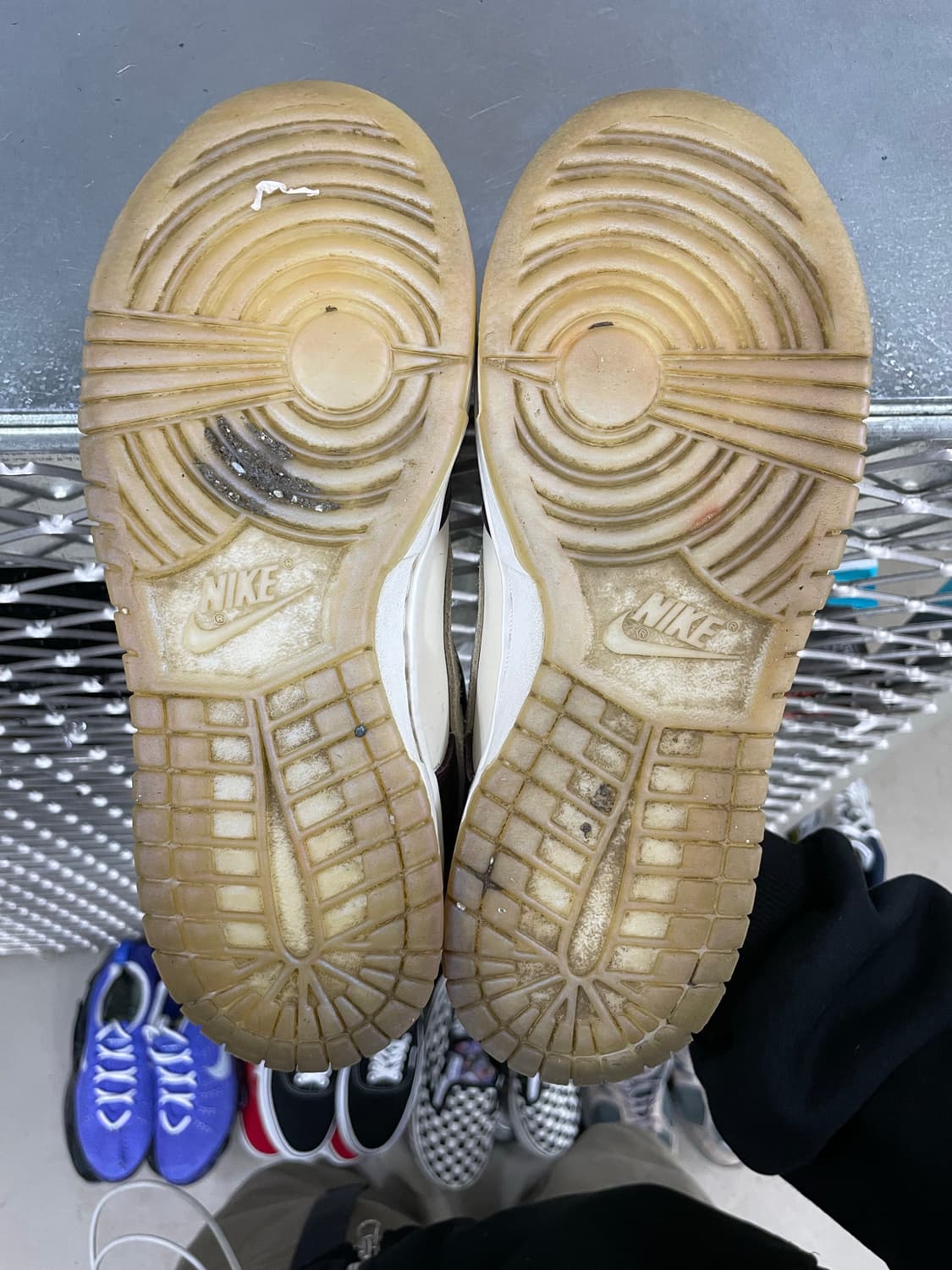 나이키 덩크 로우 LX 이어 오브 더 스네이크 245 상품이미지6