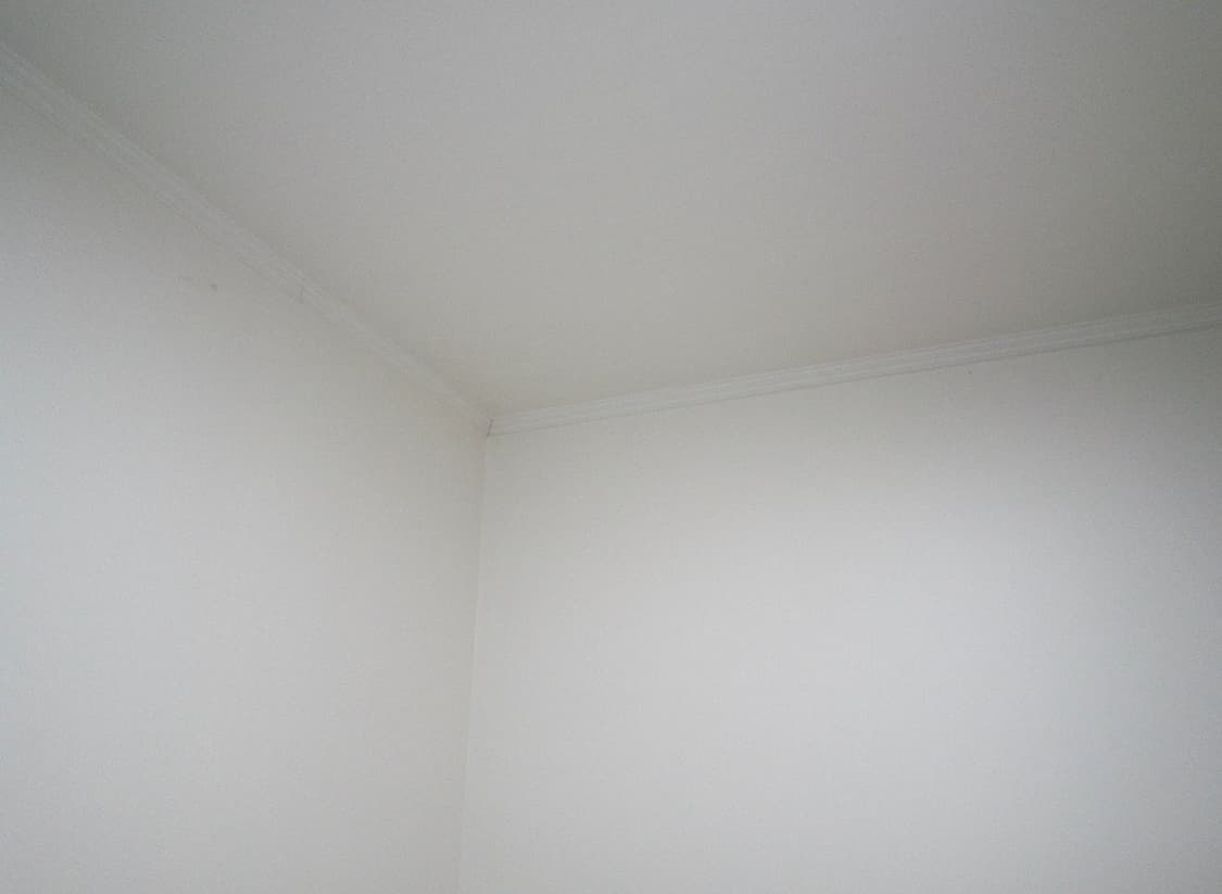 캐논 익서스 210 실버 / IXUS 210 상품이미지9