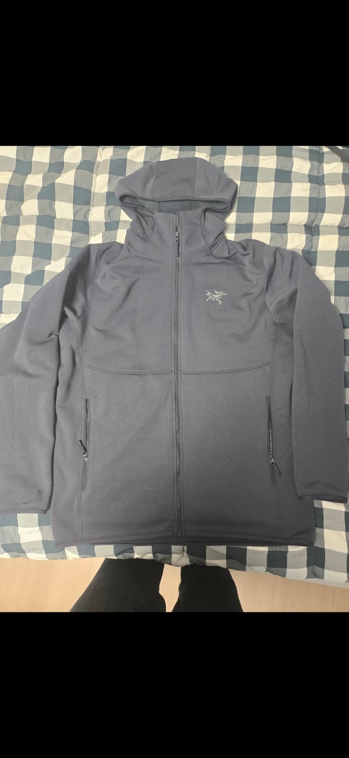 아크테릭스 Kyanite AR 후디 남성 L 상품이미지2